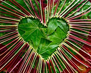 Monday hearts for Madelene